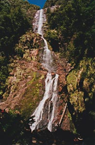 Montezuma Falls Tasmania's west coast