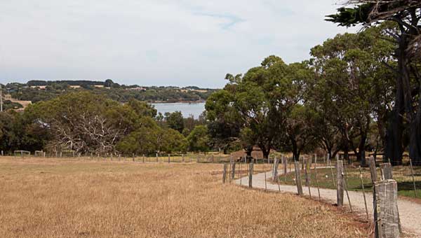 A Churchill Island walking track with a view over to Phillip Island
