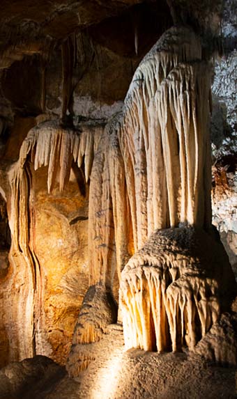 Jenolan Caves stalactite formation